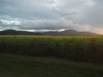 Eton QLD 4741 - Image 3