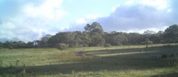 Lot 88 Dangelong Road Cooma NSW 2630 - Image 1