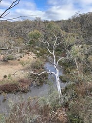 Lot 88 Dangelong Road Cooma NSW 2630 - Image 2