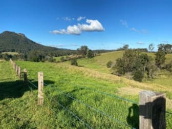 Lot 21/1843 Comboyne Road Killabakh NSW 2429 - Image 2