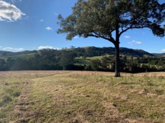 Lot 3 Majors Creek Road Dungog NSW 2420 - Image 2