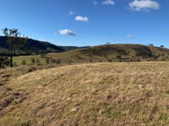 Lot 3 Majors Creek Road Dungog NSW 2420 - Image 3