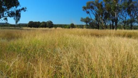 44873 Burnett Highway Jambin QLD 4702 - Image 2