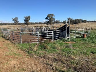Glengarry 30 Brummagen Rd Narromine NSW 2821 - Image 1