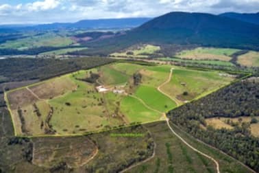 62 Bridport Back Road Nabowla TAS 7260 - Image 2