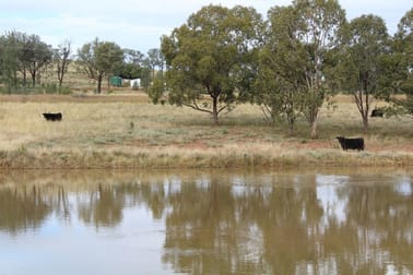 "Geebung" Gwydir Highway Gravesend NSW 2401 - Image 3