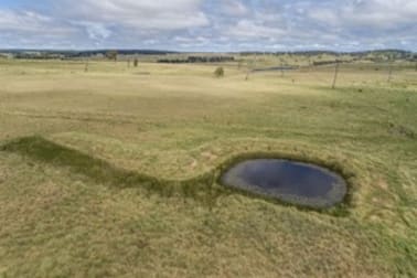 Ryan East/Lot 1 Green Gully Road Uralla NSW 2358 - Image 1