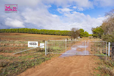 1559 Cudgel Road Leeton NSW 2705 - Image 2