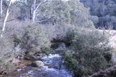 1080 Hereford Hall Road Braidwood NSW 2622 - Image 1