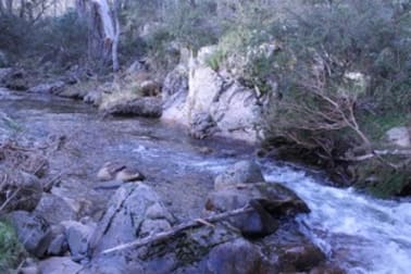 1080 Hereford Hall Road Braidwood NSW 2622 - Image 2