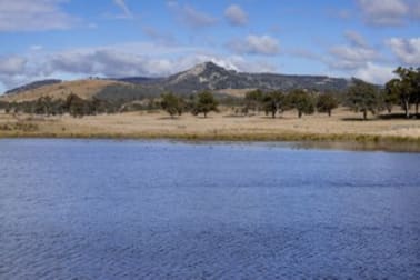 1035 Bruxner Way Tenterfield NSW 2372 - Image 3