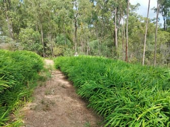 17 Svenssons Road Promisedland QLD 4660 - Image 1