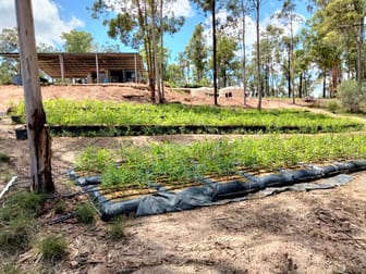 17 Svenssons Road Promisedland QLD 4660 - Image 2