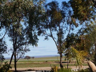 3438 Dowerin-Koorda Road Booralaming WA 6475 - Image 1