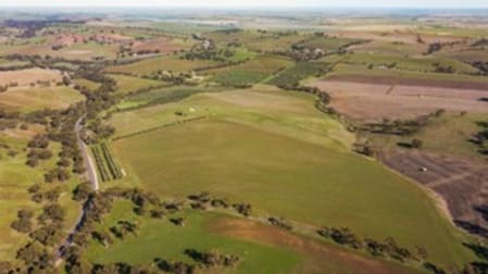 527/ Balaklava Road Auburn SA 5451 - Image 1