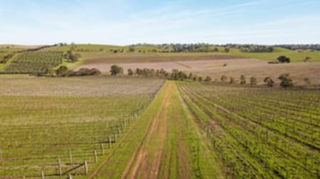 527/ Balaklava Road Auburn SA 5451 - Image 2