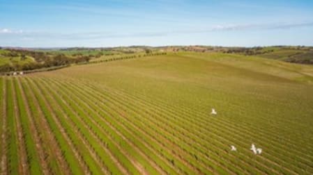 527/ Balaklava Road Auburn SA 5451 - Image 3