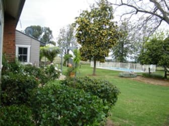 537 Cattle Lane Quirindi NSW 2343 - Image 3