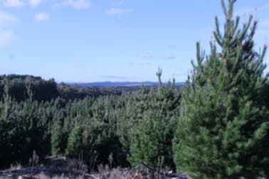 Lot 86 Nightjar Road Braidwood NSW 2622 - Image 2