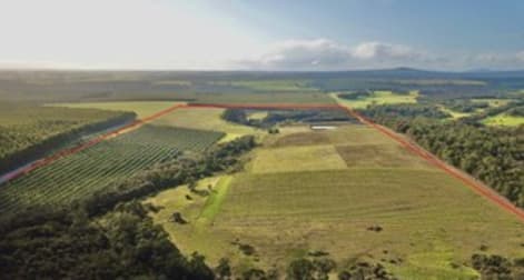 258 Greeuw Road Narrikup WA 6326 - Image 3