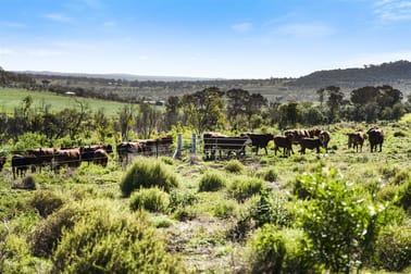 Lot 2 Garskes Road Gowrie Junction QLD 4352 - Image 3