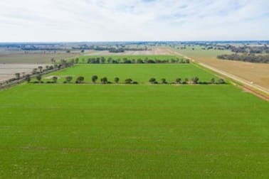 Stud Park Road Deniliquin NSW 2710 - Image 1