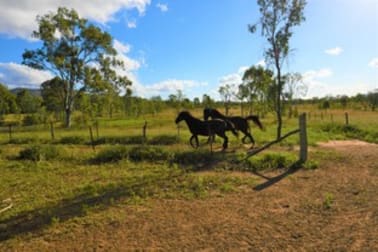 12 Carroll Lane Bouldercombe QLD 4702 - Image 3