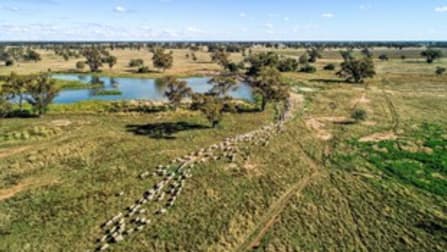 Coonamble NSW 2829 - Image 1