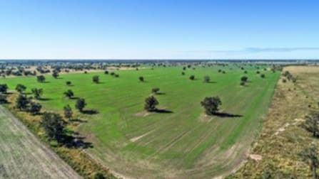 Coonamble NSW 2829 - Image 2