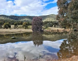 Click to view all images 280 EDGELL LANE Buckaroo NSW 2850 - Image 1