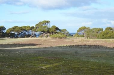 Lot 10 NORTH CAPE ROAD Bay Of Shoals SA 5223 - Image 1