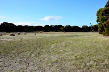 Lot 10 NORTH CAPE ROAD Bay Of Shoals SA 5223 - Image 3