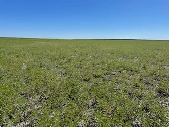 "ROXBURGH" Walgett NSW 2832 - Image 1