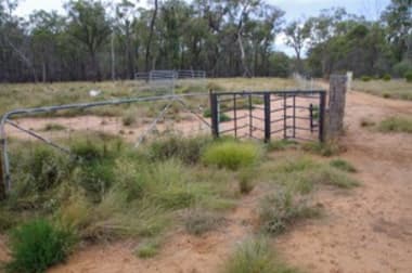 709 Tuppiari Road Narrabri NSW 2390 - Image 1