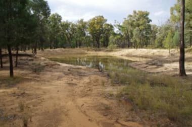 709 Tuppiari Road Narrabri NSW 2390 - Image 2