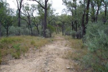 709 Tuppiari Road Narrabri NSW 2390 - Image 3