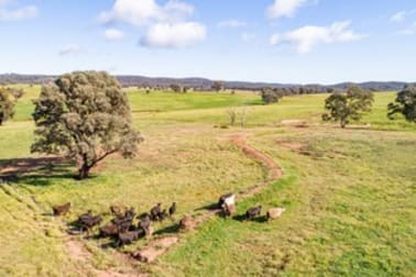 Jayton North' Fragar Road Cowra NSW 2794 - Image 2