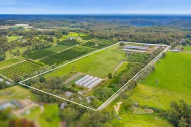 10 Lillicrapps Road Mangrove Mountain NSW 2250 - Image 1
