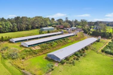 10 Lillicrapps Road Mangrove Mountain NSW 2250 - Image 3