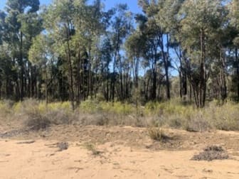 1110 MANCERS LANE Binnaway NSW 2395 - Image 1
