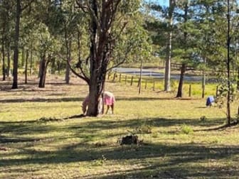 133 Armidale Road Yarravel NSW 2440 - Image 1
