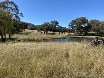 91 Karalee Row Murrurundi NSW 2338 - Image 1