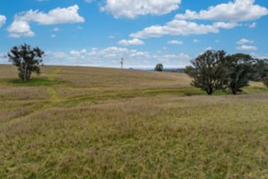 'Highview' Binni Creek Road Woodstock NSW 2793 - Image 1