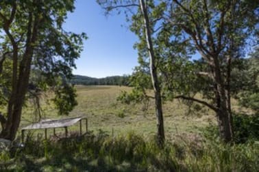 1185 Kangaroo Creek Road Kangaroo Creek NSW 2460 - Image 3