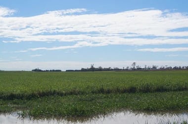 286 BARRETT ROAD Brandon QLD 4808 - Image 1