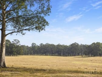 42 Big Ridge Lane Sedgefield NSW 2330 - Image 1