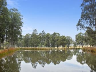 42 Big Ridge Lane Sedgefield NSW 2330 - Image 2