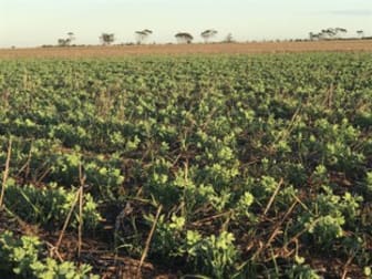 s416 & 418 Reservoir Road Kainton SA 5552 - Image 3