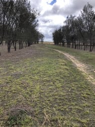 2431 Dowerin-Kalannie Road Dowerin WA 6461 - Image 2