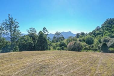 437 Mount Burrell Road Mount Burrell NSW 2484 - Image 2
